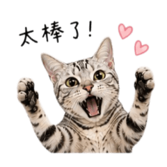 超可愛！小秘萬用貼圖