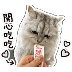摩卡金吉拉