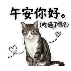 優雅的布蕾日常