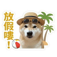 賓士葛哥
