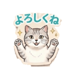 I am a beautiful , wise cat.
