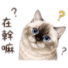 嘎逼文字版3.0