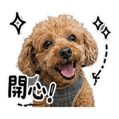 西西先生貼圖 6