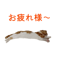 omotusanstanp