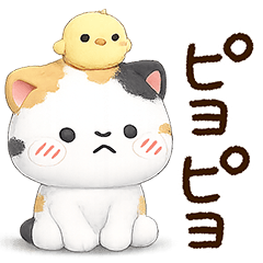 Lazy Cute Calico cat3