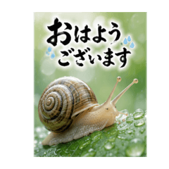 mito333_20260514200737