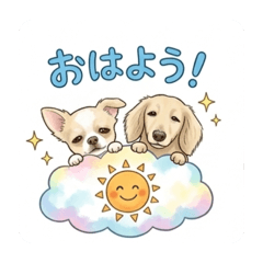 sai_20260514200645