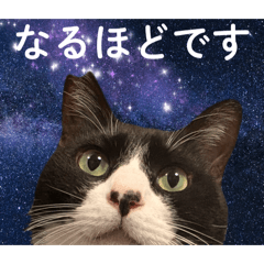 konakanako_20260515003200