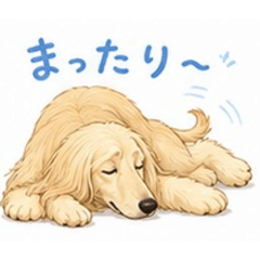LIA_20260515003441