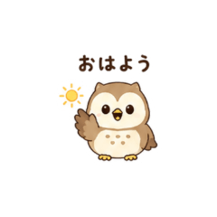 Owl Daily Stickers