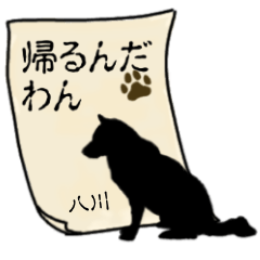 Hachikawa'Contact from Animal3