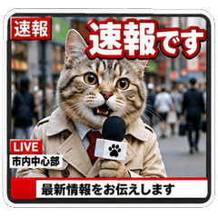 Daily News Reporter Cats