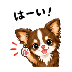 Mr. Pastelcolor_20260516075204