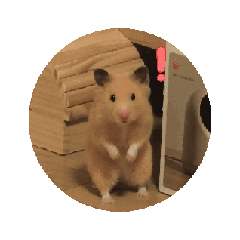 kinkuma-fubusan
