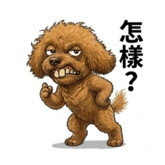 momo醬的哽圖