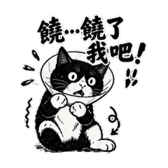 貓咪World-賓士喵