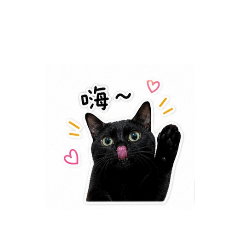 CoCo招呼日常