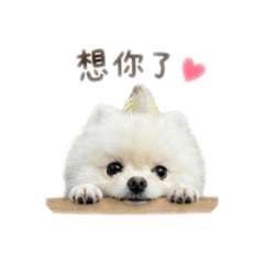 POM 饅頭2