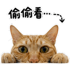 我叫Pika
