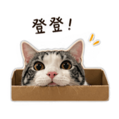錢錢叛逆日常