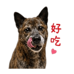 我的家巧虎的可愛