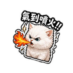 Angry cat 002_