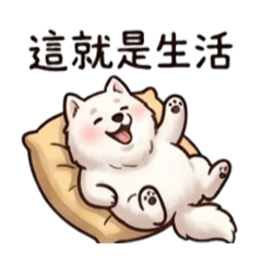懶懶小白：我的廢物日常