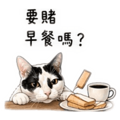黑白貓炭吉寫真