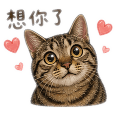 小勾咪咪の日常