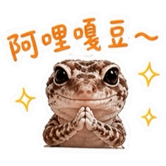 小可小可真可愛y