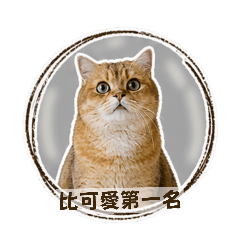 大吉上班GO