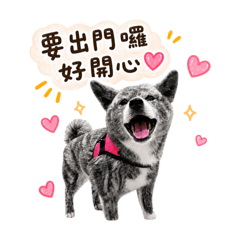 秋田犬日常♡療癒狗狗貼圖