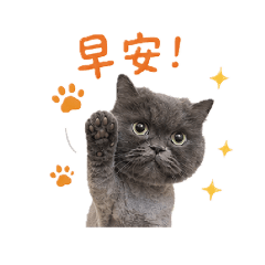 短腿翠花的日常問候