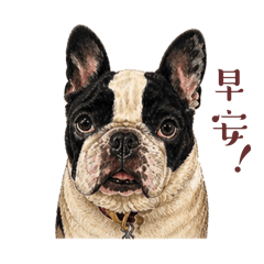 臭臭本丸小姐