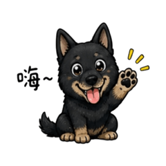 ㄚ嚕咪ෆ牧羊犬