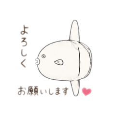 Haggy-Mo_20260515012022