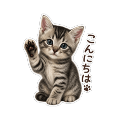 Kitten Moni's Daily Stickers
