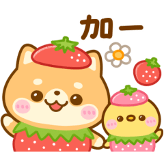 Mameshiba Sweets Pop-Up Stickers
