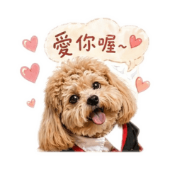 耍萌日常