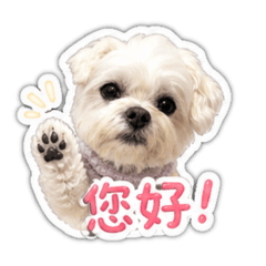 賣萌Q寶