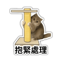 Sake超可愛