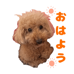 Kotaro Stamp Part.2