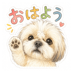 Chibiko the Dog