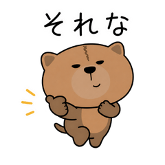 bush dog3