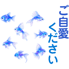 Crayon Glass Fish Stickers