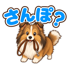 Fluffy Sheltie Life.