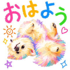 Pe is very lovely Pomeranian