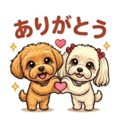 Maltipoo Guku & Moa: Daily Life 1