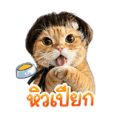 Lion_20260428180606