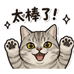 傑西的喵喵